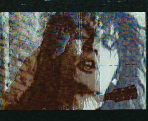 CAPTURE17