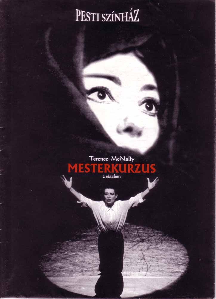 Mesterkurzus